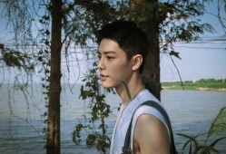 肖战现状爆料视频最新版